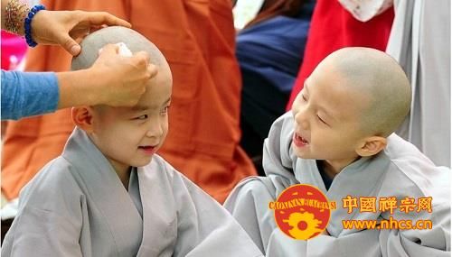 「佛教」韩国曹溪寺每年佛诞举办童子僧剃发受戒