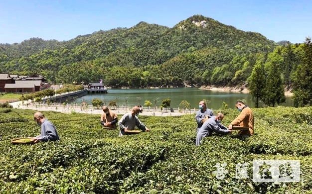 「佛教」传承农禅家风 湖北各寺不负农时春耕忙 「佛教」传承农禅家风 湖北各寺不负农时春耕忙