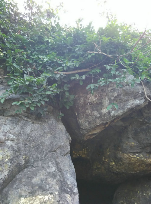 「释迦牟尼」印度朝圣——灵鹫山撷影 「释迦牟尼」印度朝圣——灵鹫山撷影