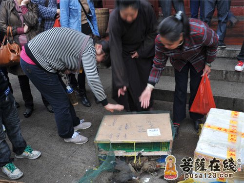 「放生功德」广东南华禅寺清明节举行放生祈福法会 普圣法师主法