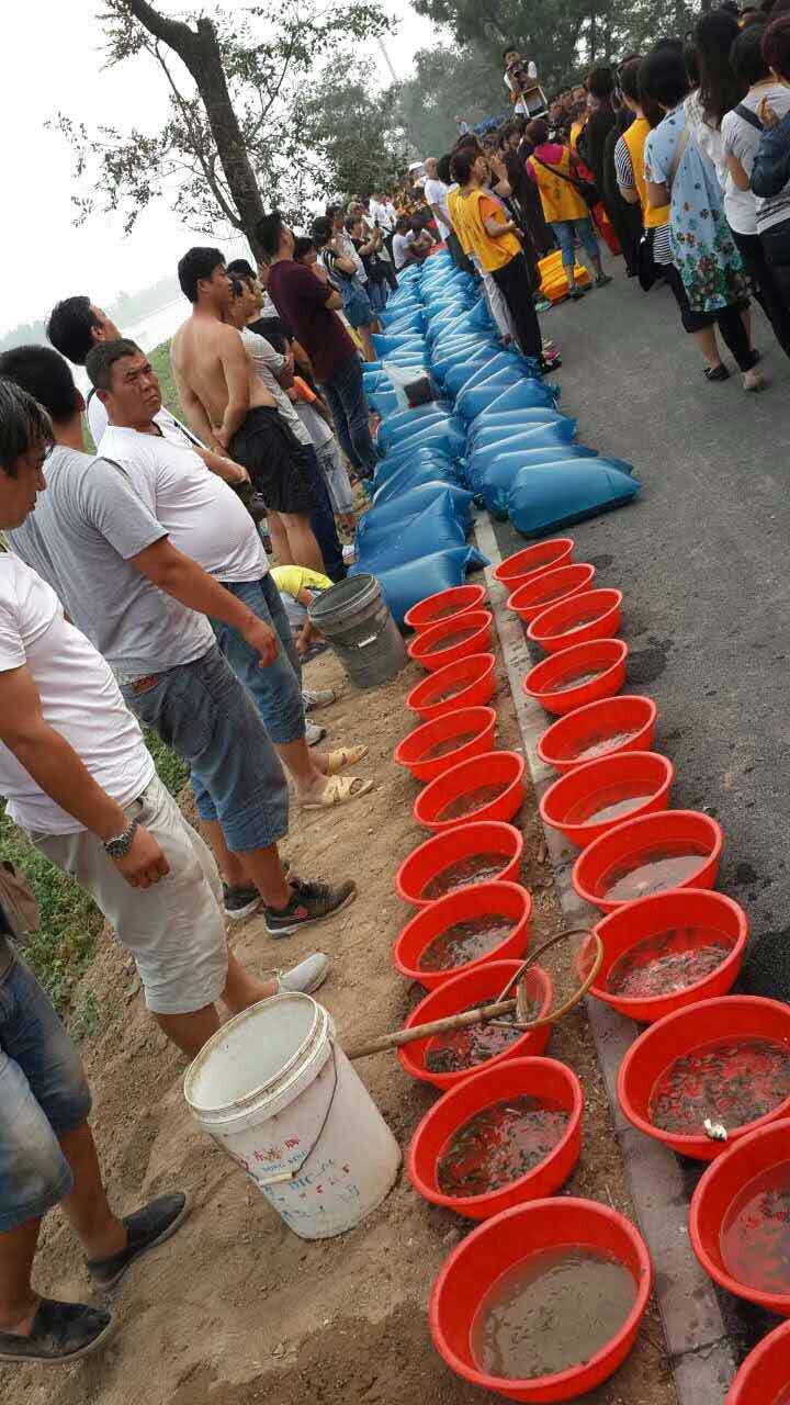 「生态环境」“珍惜生命·爱护环境”——津门首届大型“生态放流”活动圆满成功