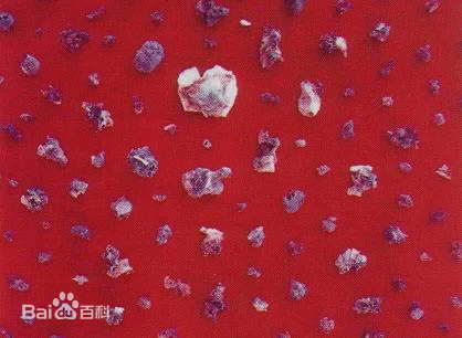 「佛教」百年高僧之：人中狮子宣化上人
