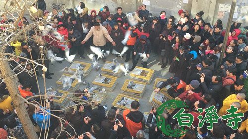 「佛教」河北廊坊白净寺举行放生暨顺星君祈福大法会
