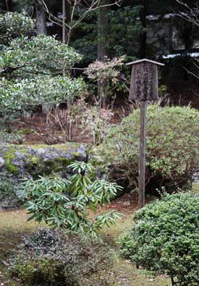「佛教」中日邦交四十年 日本佛教圣地高野山拟2000僧侣访华