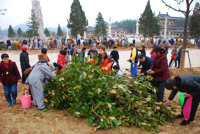 「佛教」植早春树 结弥陀缘