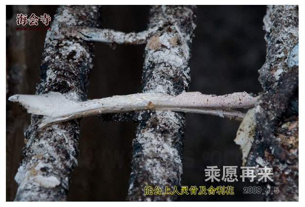 「佛教」能阐老和尚灵骨舍利及瑞相再现 「佛教」能阐老和尚灵骨舍利及瑞相再现