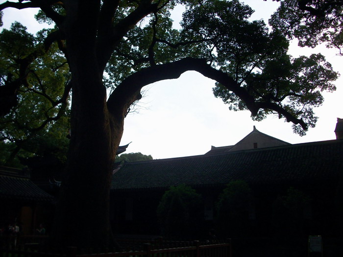 「普济寺」不开山门却香火旺盛的普陀山普济寺 「普济寺」不开山门却香火旺盛的普陀山普济寺
