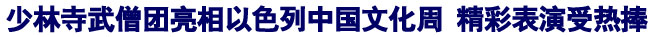 「文化」少林寺武僧团亮相以色列中国文化周 精彩表演受热捧