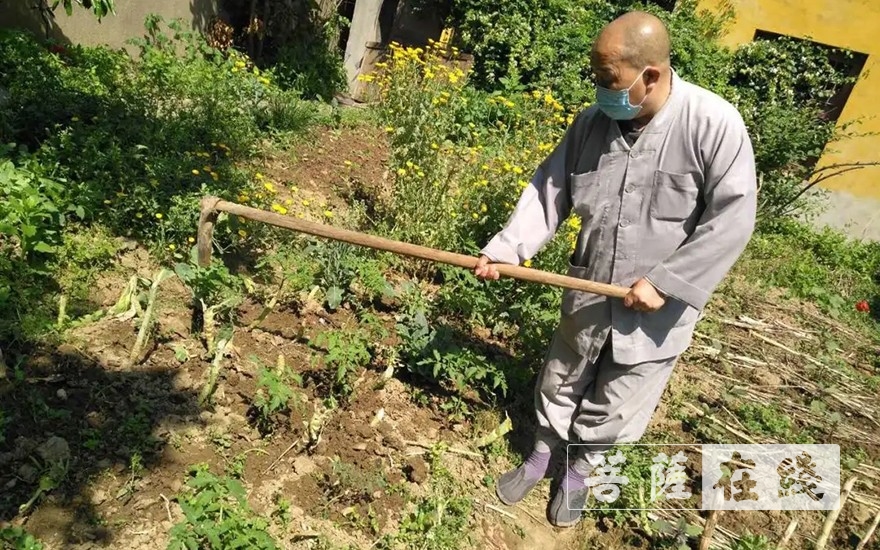 「佛教」抢抓农时,自力更生,湖北各寺掀起春耕生产热潮 「佛教」抢抓农时,自力更生,湖北各寺掀起春耕生产热潮