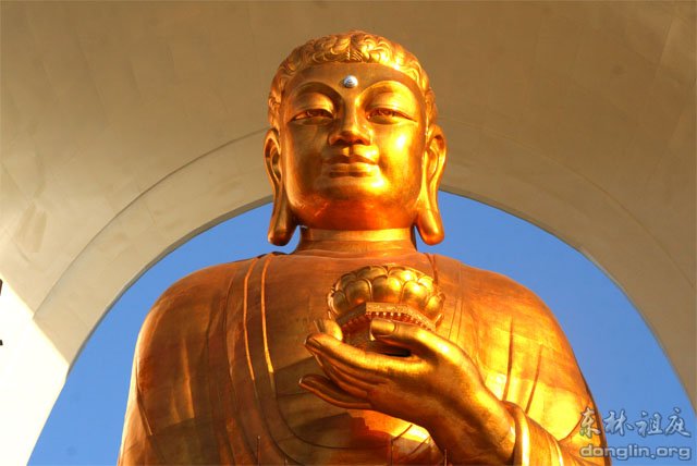 「东林大佛」世界最高阿弥陀佛东林大佛现“金身”露真容