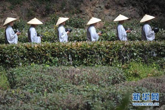 「佛教」2011“东南佛国·杭州”托钵行脚—福慧行大型慈善活动举行