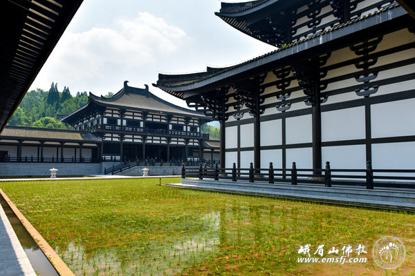 「峨眉山」四川峨眉山柳江光明寺开展农禅并重活动