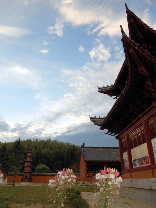 「鬼灯水月」水月清梅：法眼云霞无限美，禅修日日无终期