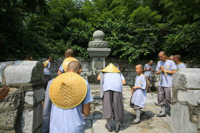 「宝华山」江苏宝华山隆昌寺“如僧修行 当勤精进”共修活动通启