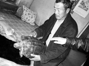 百岁巨龟被放生 三次恋恩人流泪不肯走