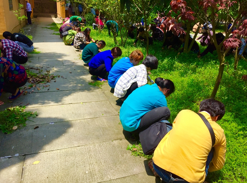 「药师经」2016年国际劳动节浙江宁波慧日禅寺启建《药师经》诵读法会 「药师经」2016年国际劳动节浙江宁波慧日禅寺启建《药师经》诵读法会