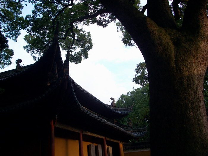 「普济寺」不开山门却香火旺盛的普陀山普济寺 「普济寺」不开山门却香火旺盛的普陀山普济寺