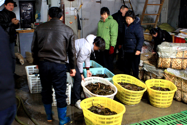 「印光法师」2010年12月6日弘化社纪念印光法师生西70周年放生活动
