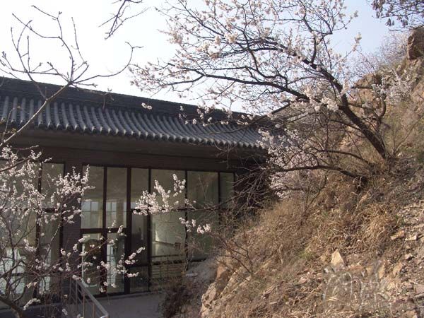 「大悲寺」图文回溯辽宁海城大悲寺之建设、发展历程
