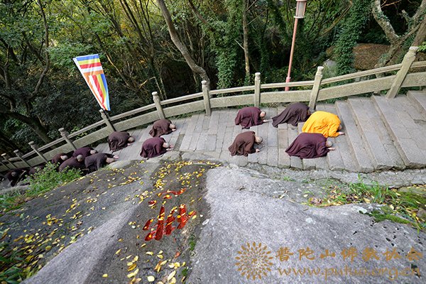 「普陀山」第十五届普陀山南海观音文化节“僧众礼佛顶、万信齐朝拜”法会隆重举行