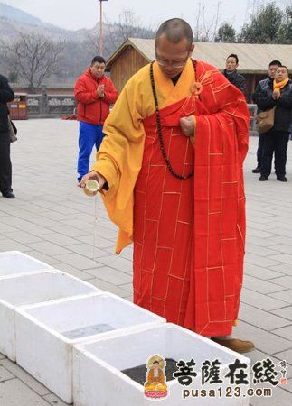 「佛教」河南焦作圆融无碍古寺隆重举行放生祈福法会