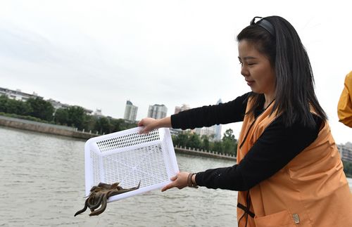 「放生仪轨」浙江温州妙果寺举行放生和传授三皈依五戒法会 「放生仪轨」浙江温州妙果寺举行放生和传授三皈依五戒法会