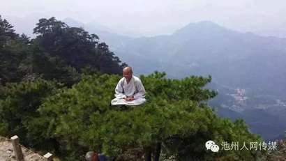「九华山」九华山高僧在松树顶上凌空打坐 网友惊叹(图)