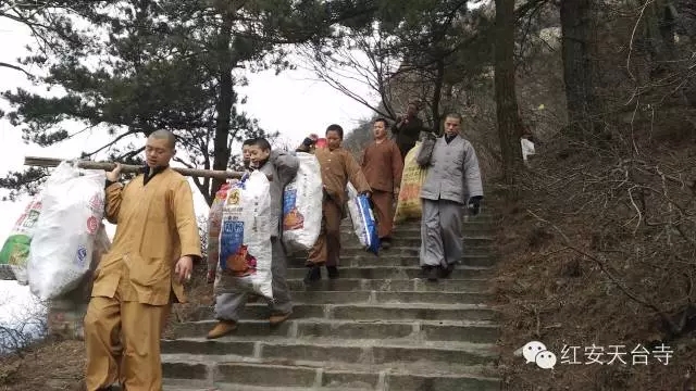 「佛教」别样春节之深山里的僧人环卫员