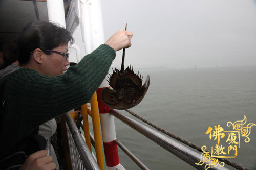 「佛教」台湾生命电视台台长海涛法师莅临福建厦门观音寺弘法三天 「佛教」台湾生命电视台台长海涛法师莅临福建厦门观音寺弘法三天