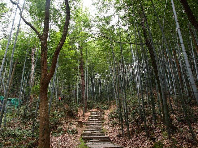 「东林寺」江西东林寺3月上旬十日闭关念佛圆满出关 「东林寺」江西东林寺3月上旬十日闭关念佛圆满出关