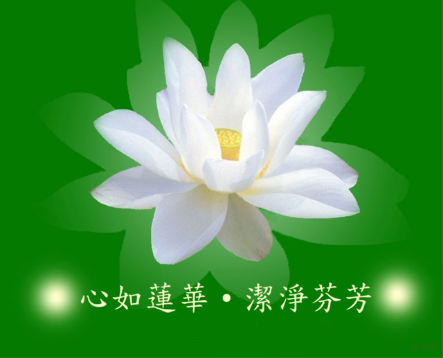 「大安法师」大安法师：佛弟子该如何看待婚外情