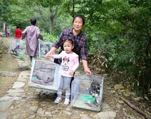 「慧日禅寺」祈福盛世 国泰民安—慧日禅寺国庆系列法会圆满