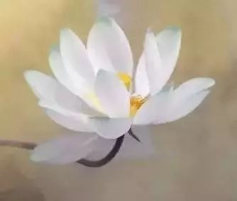 「佛教」大德故事　梦窗禅师的慈悲大度