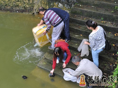 「放生功德」广东南华禅寺清明节举行放生祈福法会 普圣法师主法