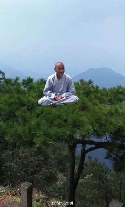 「九华山」九华山高僧在松树顶上凌空打坐 网友惊叹(图)