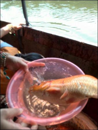 「文殊菩萨」浙江温州市妙果寺举行纪念文殊菩萨圣诞系列法会活动 「文殊菩萨」浙江温州市妙果寺举行纪念文殊菩萨圣诞系列法会活动