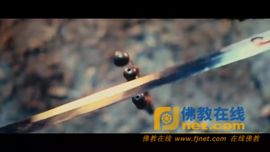 「佛教」视点：盘点2010年国产大片中的佛教元素