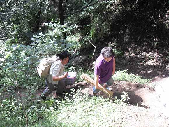 「终南山」终南山护僧随感