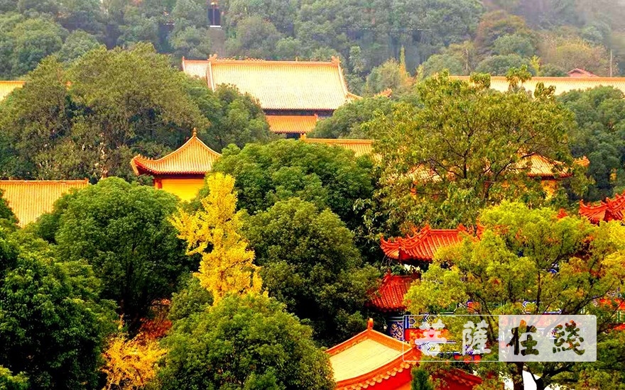 「圣安」岳阳圣安寺全体僧众进行新冠肺炎核酸检测 「圣安」岳阳圣安寺全体僧众进行新冠肺炎核酸检测