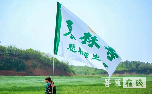 「东林寺」庐山东林寺尝试为白鹤种植“粮库” 「东林寺」庐山东林寺尝试为白鹤种植“粮库”