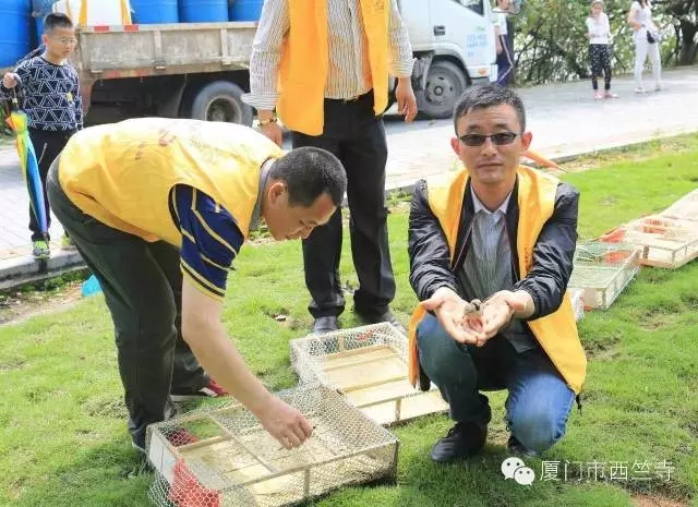 「佛教」福建厦门西竺寺丙申年首场放生法会圆满 「佛教」福建厦门西竺寺丙申年首场放生法会圆满