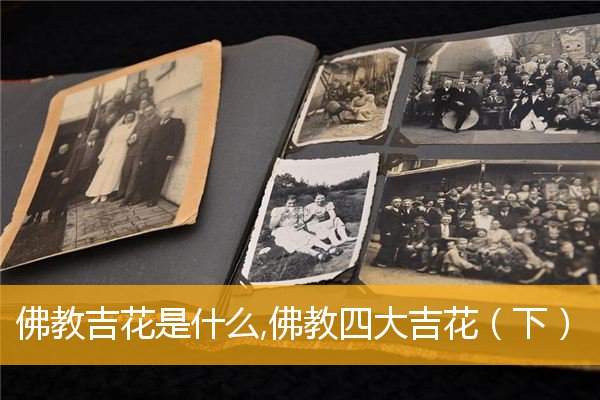 「佛教」佛教吉花是什么,佛教四大吉花（下）