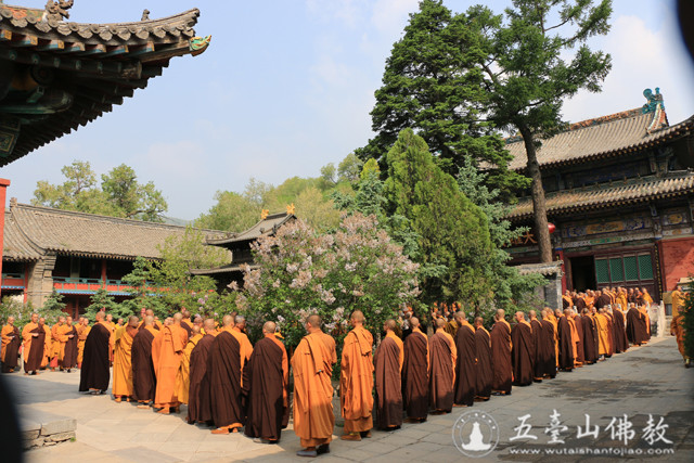 「佛教」2016年山西五台山圆照寺传授三坛大戒圆满结束 「佛教」2016年山西五台山圆照寺传授三坛大戒圆满结束