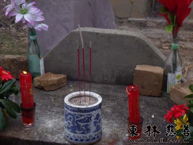 「武强」东林慈善安养院的第二十七朵莲花