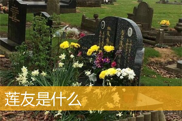 「莲花」莲友是什么