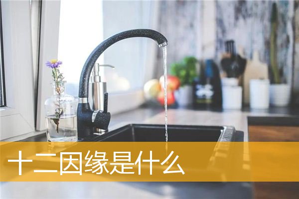 「十二因缘」十二因缘是什么