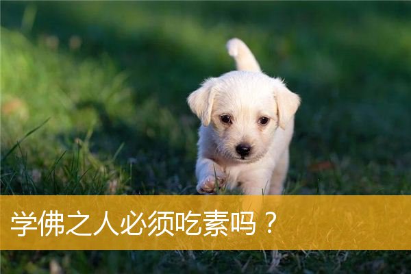 「佛教」学佛之人必须吃素吗？