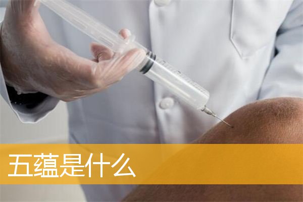 「文化」五蕴是什么
