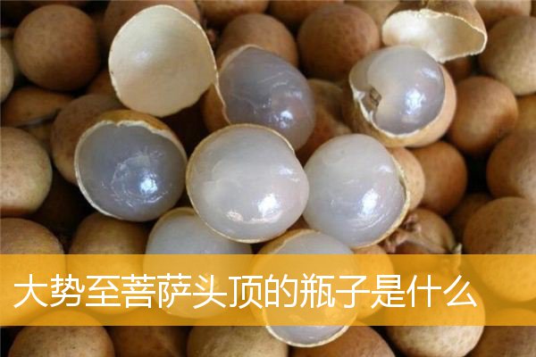 「佛教」大势至菩萨头顶的瓶子是什么