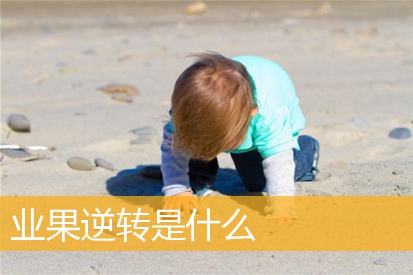 「文化」业果逆转是什么